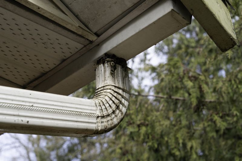 Clean Gutters with Downspouts