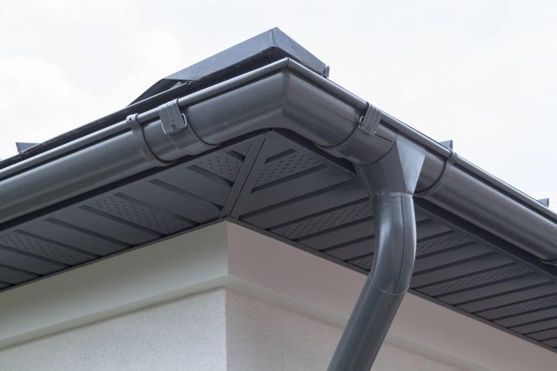 Gutter System Inspection