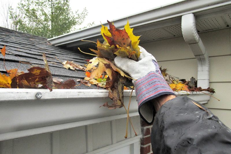 Clogged Gutter Removal